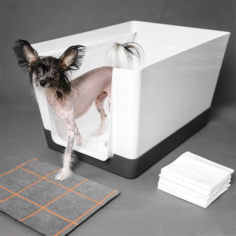 Doggy bathroom - Dog Potty Tray Toilet 20"x14" Doggy Bathroom Dog Litter Box, Indoor Pee Pad Holder with 8pcs Training Pads, Puppy Pee Mesh Potty Training Tray with Secure Latch, Dog Potty Pan for Small Medium Puppies. 51. $2690. List: $35.99. Save 5% with coupon. FREE delivery Fri, Jan 5 on $35 of items shipped by Amazon.